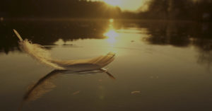 Feather falling into water to represent relationship therapy in Houston, TX